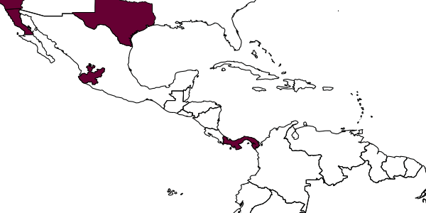 map of Hylaeus panamensis     Michener, 1954